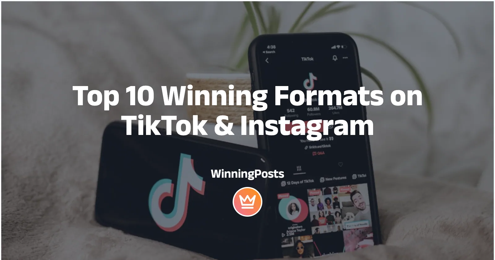 Top 10 Winning Formats on TikTok & Instagram
